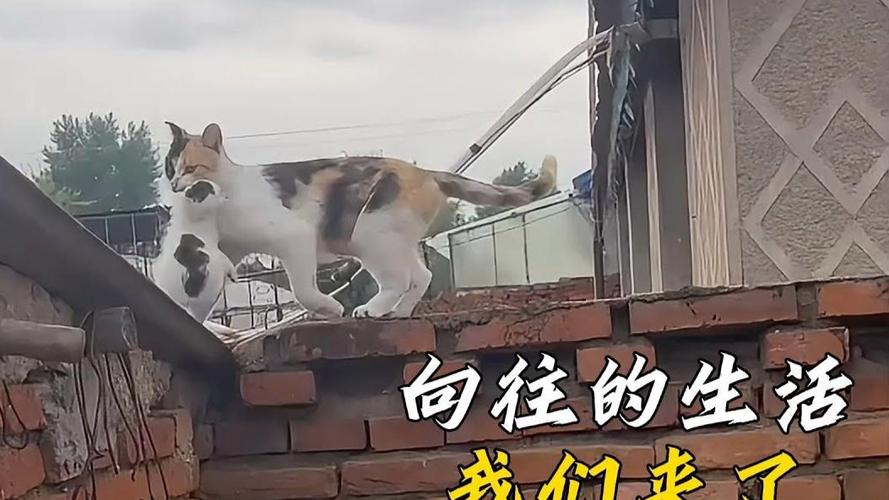 解决方案 第15页