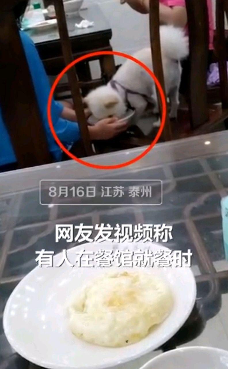 新闻中心 第10页